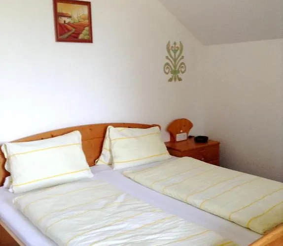 Pansiyon Salzingerhof *