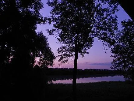 Pansiyon Salzingerhof *