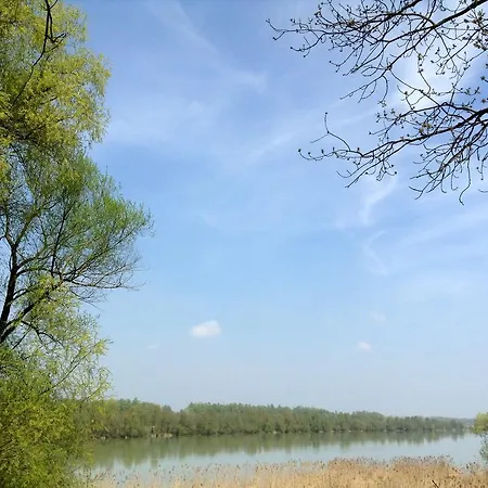 Alloggio in famiglia Salzingerhof *