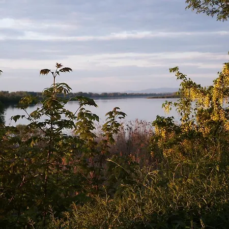 Alloggio in famiglia Salzingerhof Kirchdorf am Inn